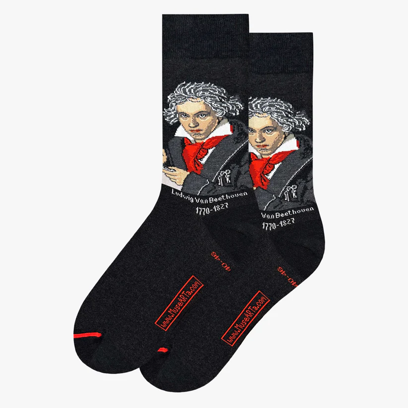 MuseARTa Socken LUDWIG VAN BEETHOVEN